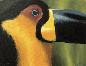 The Staring Parrot