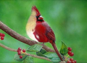 Two-Faced Cardinal