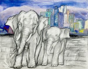 Wisdom Strolls in the City