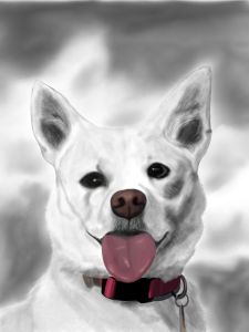 Happy Puppy
