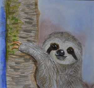Tree Hugger Bliss