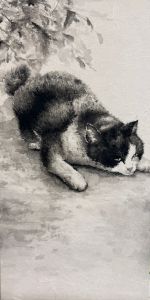 A peaceful slumber