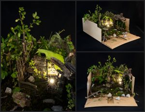 Home in the Woods
